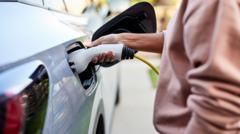 Electric vehicle sales targets may be reduced after industry push