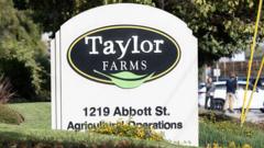 Taylor Farms recalls jalapeno products over salmonella concerns