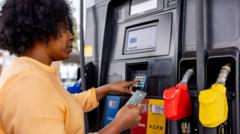 US fuel costs keep prices high, impacting household budgets